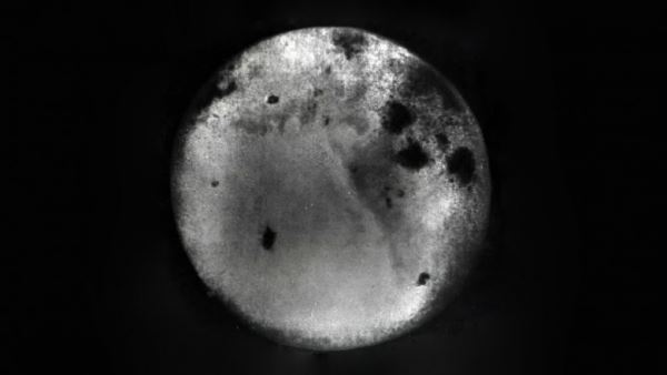 Опубликованы фотографии обратной стороны Луны, сделанные 60 лет назад