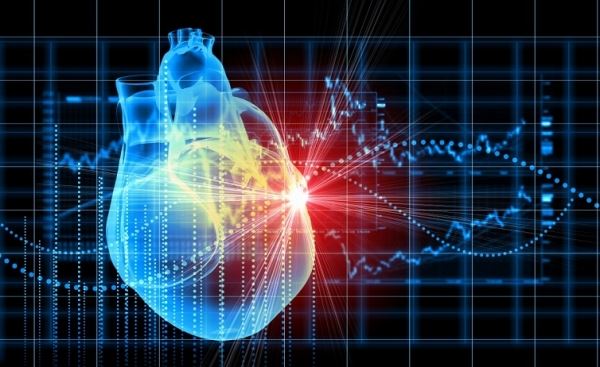 Найден способ восстановления сердца после инфаркта