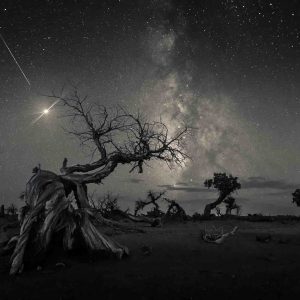 Победители конкурса астрофотографии Astronomy Photographer of the Year 2019